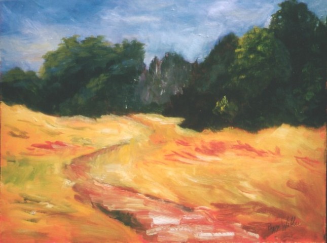 Arana Gulch